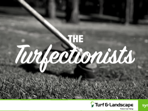 Meet the Turfectionists 