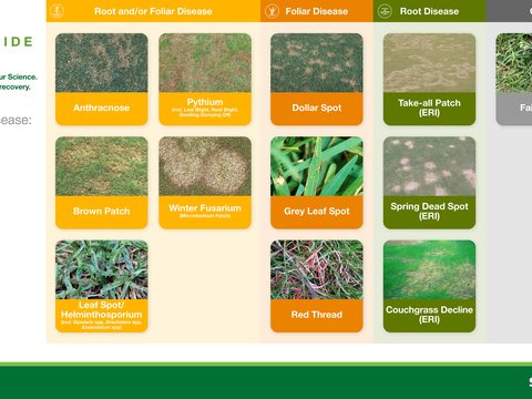 Interactive Turf Disease Fungicide Guide Cover