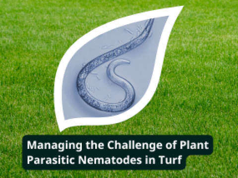 Trefinti - Managing Nematodes in Turf