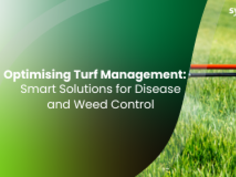 Smart Solutions for Disease and Weed Control