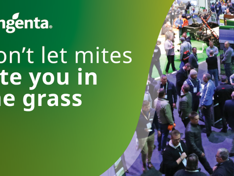 Don't Let Mites Bite You in the Grass