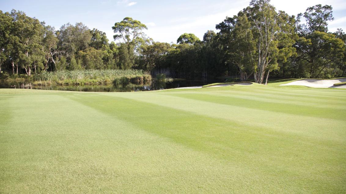 Fungicide Fairways