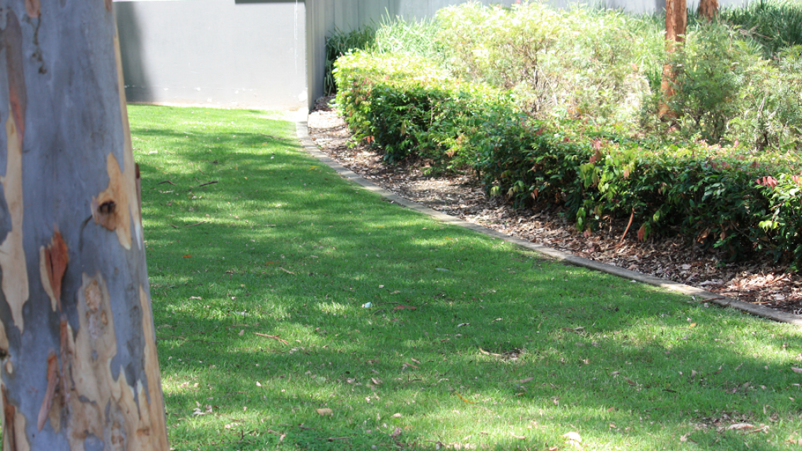 Garden Beds Landscape