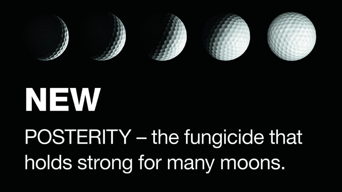 NEW Posterity for Dollar Spot