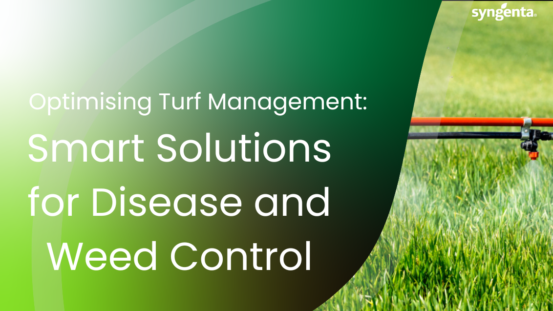 Smart Solutions for Disease and Weed Control - Main Image
