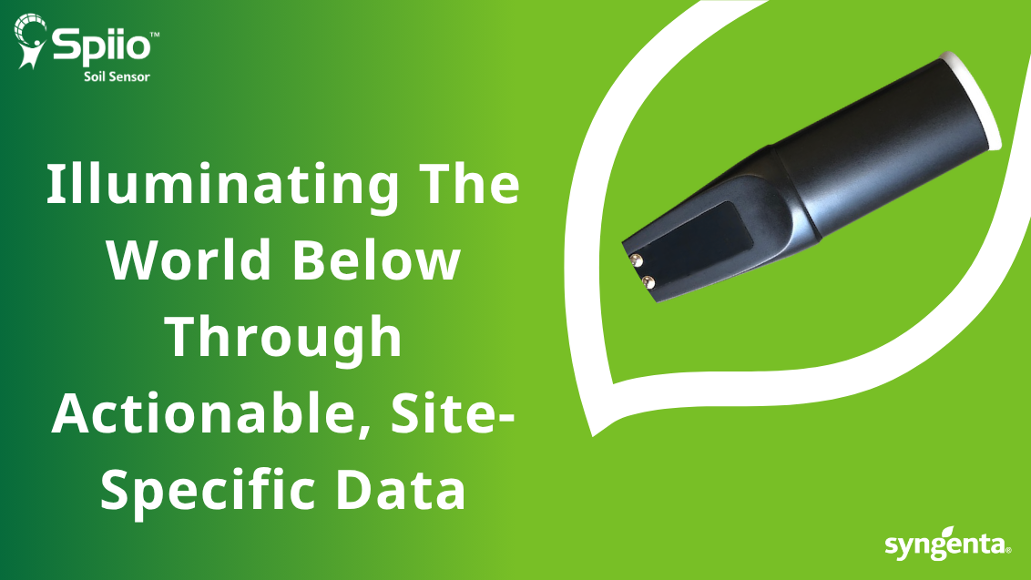 Illuminating the world below through actionable, site-specific data