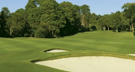 Weed Control - golf