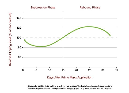 Primo Maxx Suppression_rebound graph