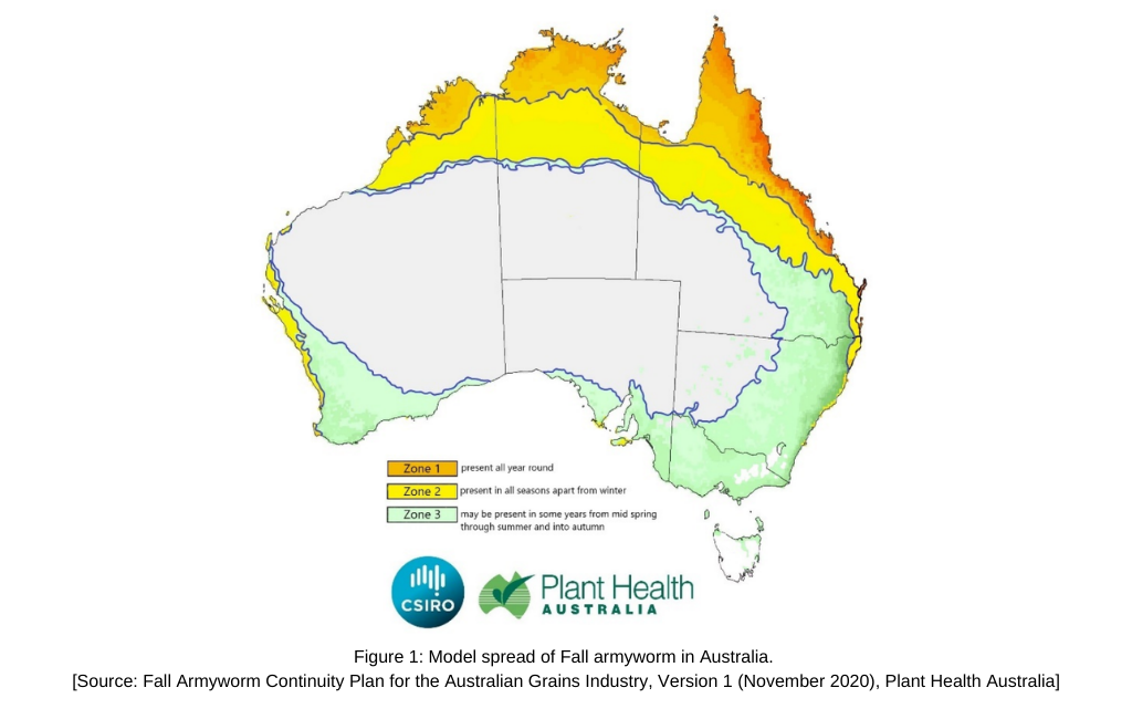 Model spread of Fall armyworm in Australia