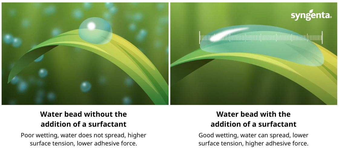 Surfactants Water Droplet Diagram