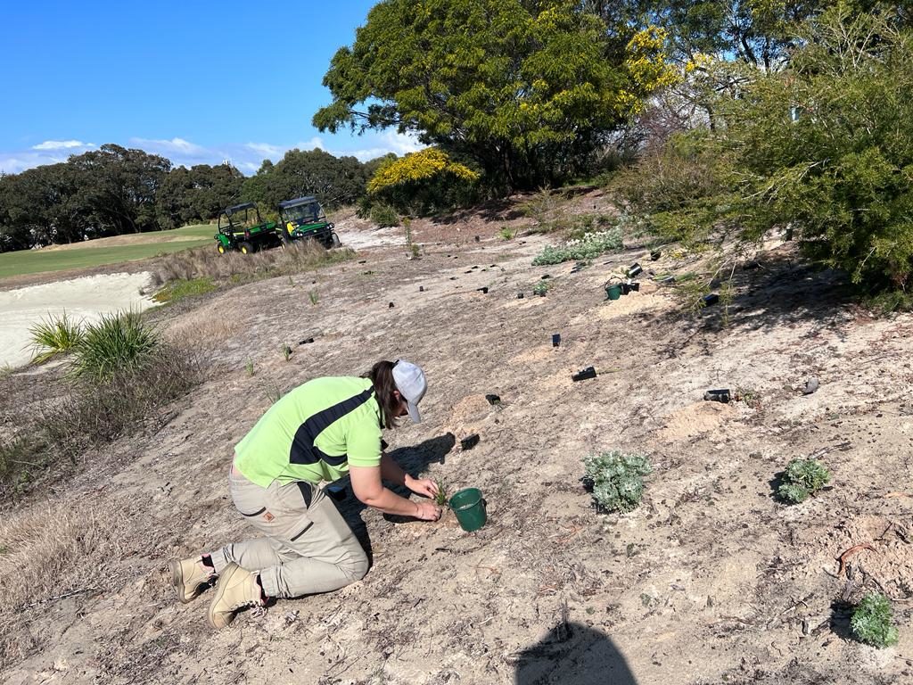 Syngenta’s Operation Pollinator® Program – Planting on site at Bonnie Doon Golf Course, August 2023