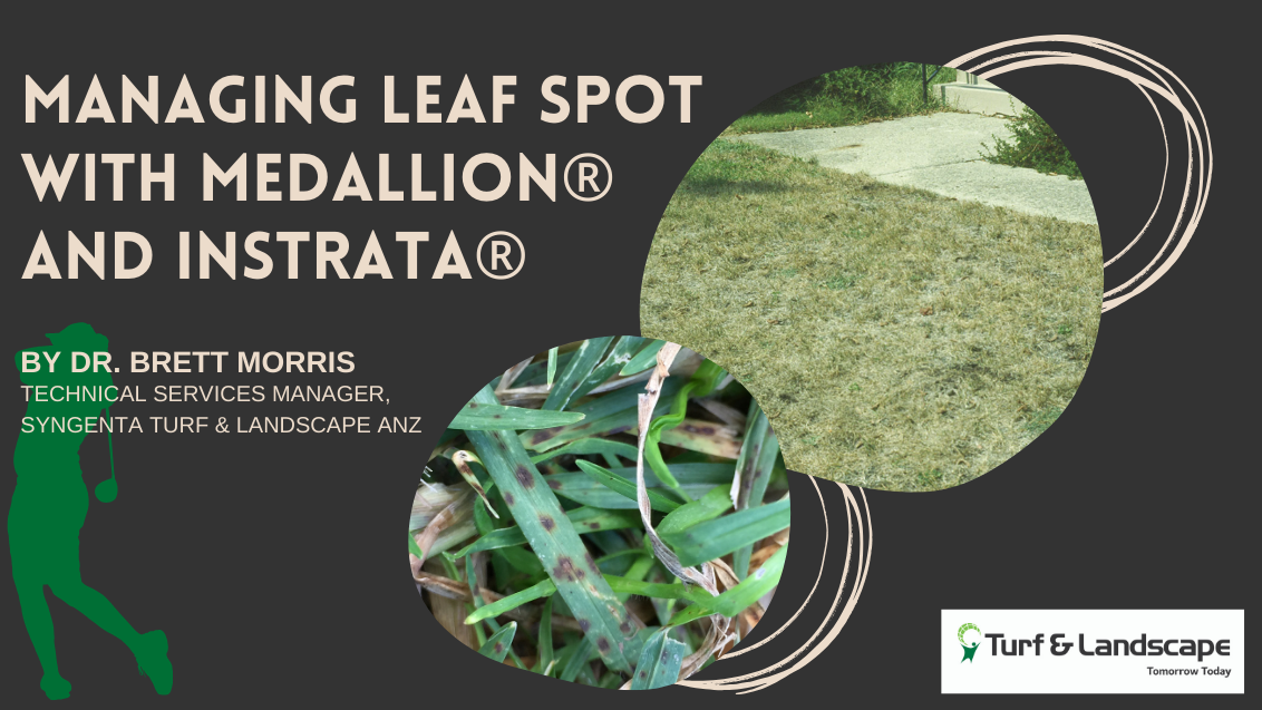 managing_leaf_spot_with_medallion_and_instrata.png