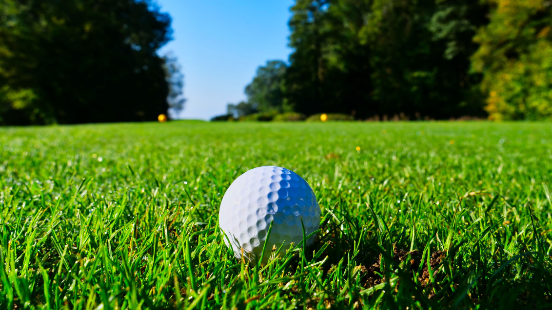 Golf Turf Ball