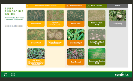 Syngenta Turf Fungicide Guide