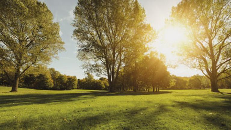 Council parks hero