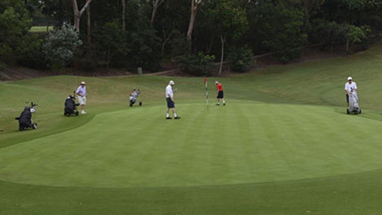 Greens Avondale