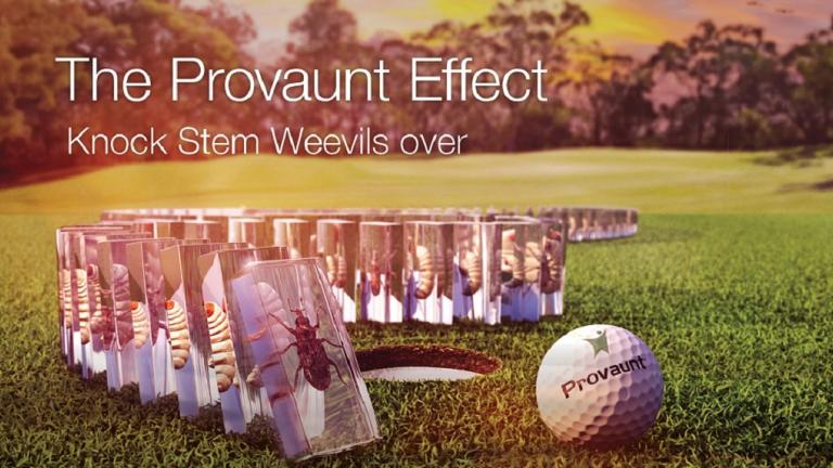The PROVAUNT Effect