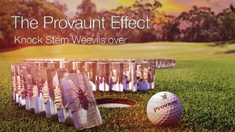 The PROVAUNT Effect