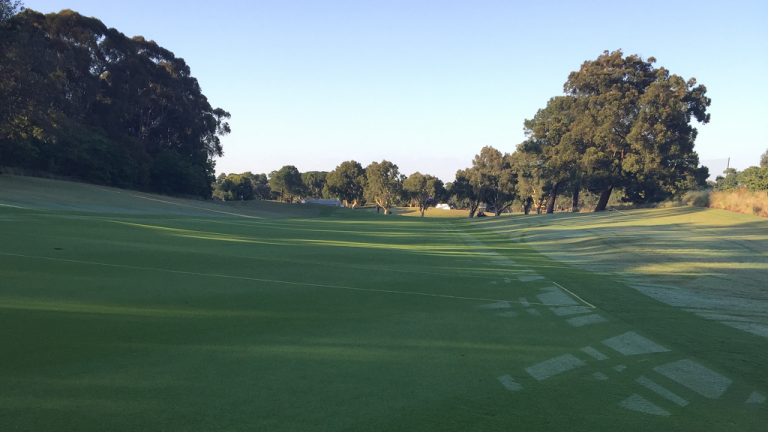 Golf Fairway