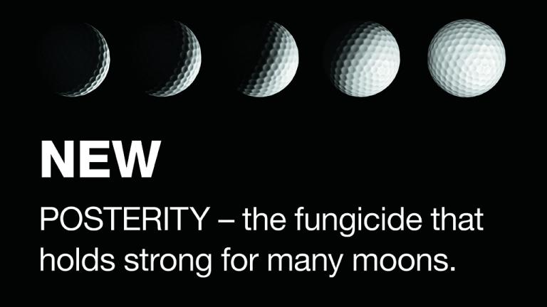 NEW Posterity for Dollar Spot