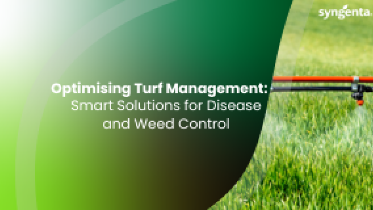Smart Solutions for Disease and Weed Control