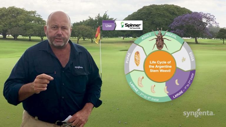 How to use PROVAUNT® and SPINNER® to target Argentine Stem Weevil