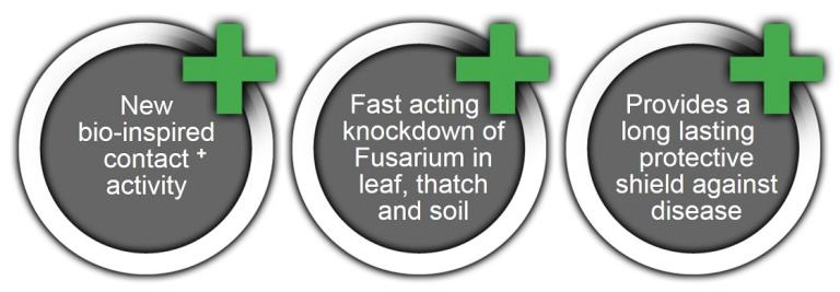 Medallion Contact Plus