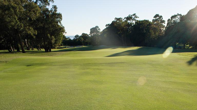 Golf course_herbicide article