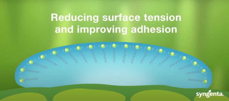 Surfactants Droplet Surface Tension Diagram