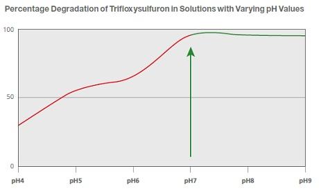 Percentage Degradation of Trifloxysulfuron in Solutions with Varying pH Values