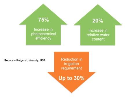 PRIMO MAXX driving water use efficiency