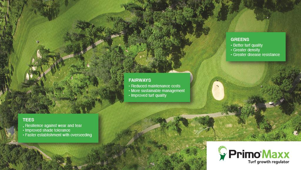 Primo Tee to Green image