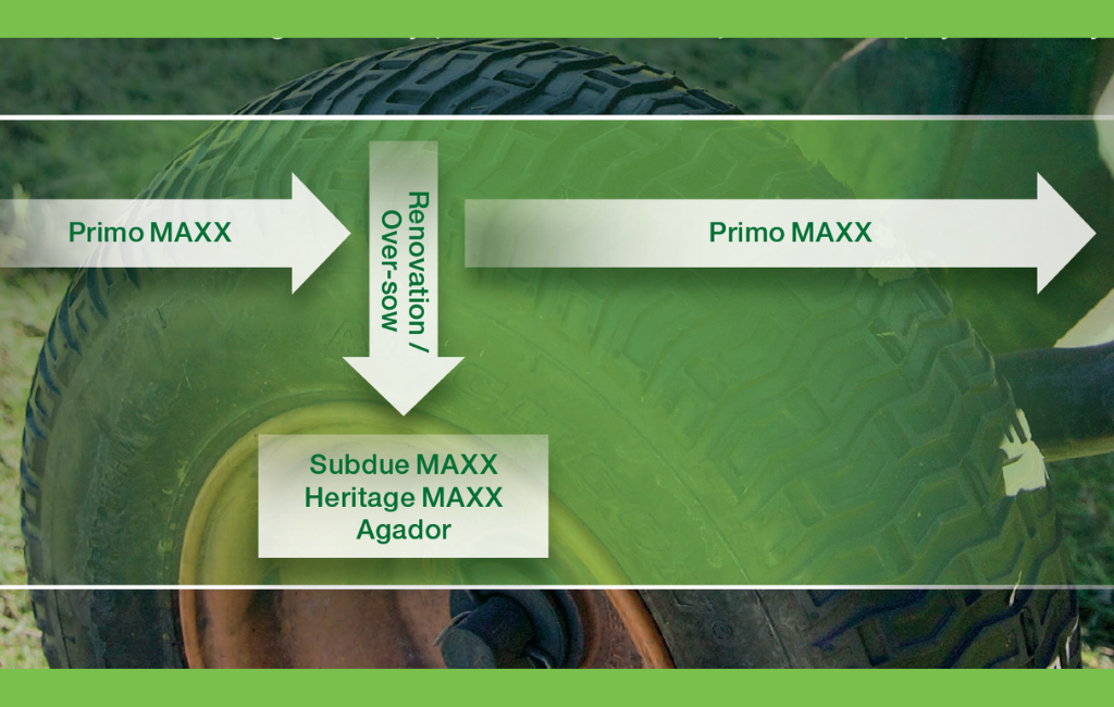 Oversow Renovation Program