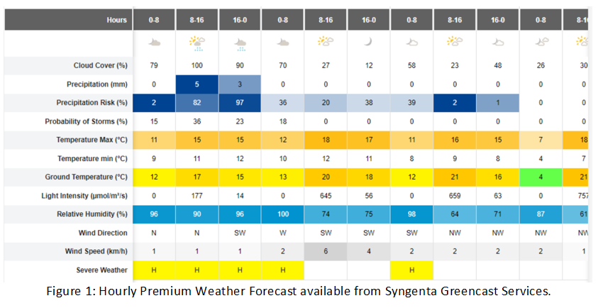Hourly Premium Weather Forecast
