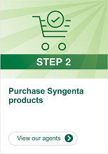 Step 2