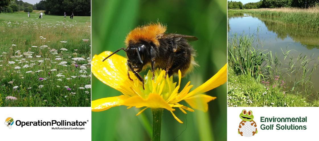 Operation Pollinator Enviro Golf Solutions Banner