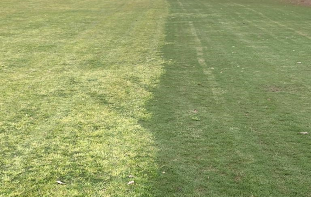 Untreated Vs Treated