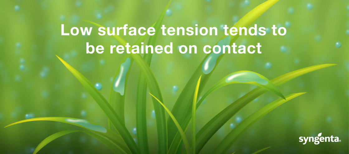 Surfactants Low Surface Tension Diagram