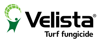 Velista
