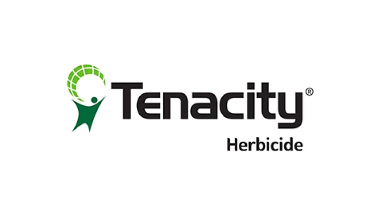 Tenacity 480x160px