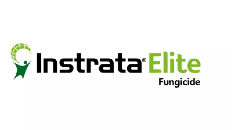 Instrata Elite